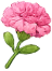 Flor