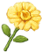 Flor
