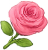 Flor