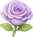Flor