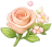 Flor