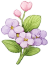Flor