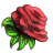 Rosa Decorativa