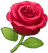 Flor